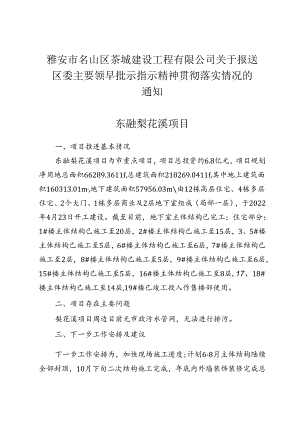 部分项目建设情况汇报材料.docx