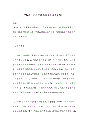 （2篇）2024年上半年党建工作情况报告.docx
