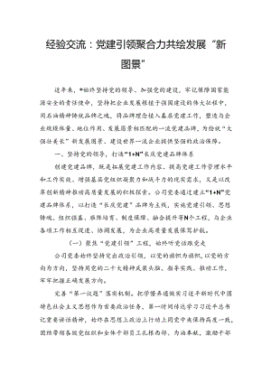 经验交流：党建引领聚合力共绘发展“新图景”.docx
