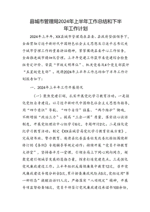 县城管执法系统2024年上半年工作总结和下半年工作计划.docx
