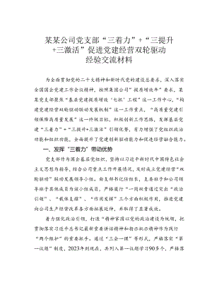 某某公司党支部“三着力”+“三提升+三激活” 促进党建经营双轮驱动经验交流材料.docx