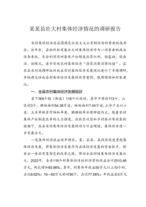 某某县壮大村集体经济情况的调研报告.docx