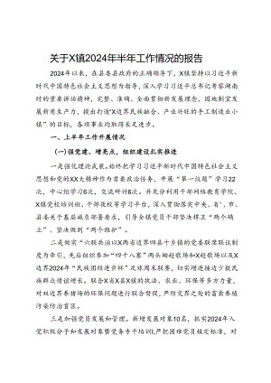 关于镇2024年半年工作情况的报告.docx