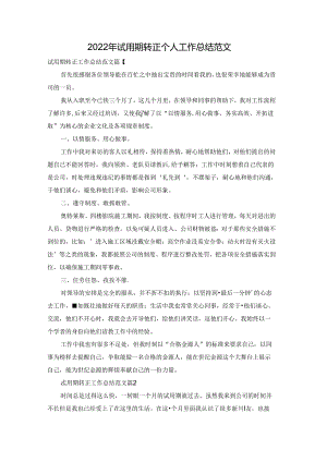 2022年试用期转正个人工作总结范文.docx