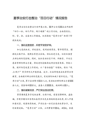 2024夏季治安打击整治“百日行动”工作总结十六篇.docx