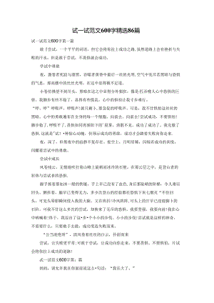 试一试范文600字精选86篇.docx