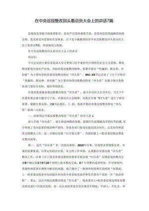 在中央巡视整改回头看动员大会上的讲话7篇.docx