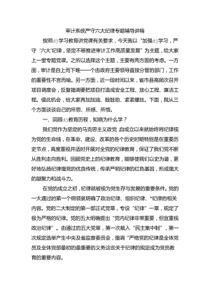 审计系统严守六大纪律专题辅导讲稿.docx
