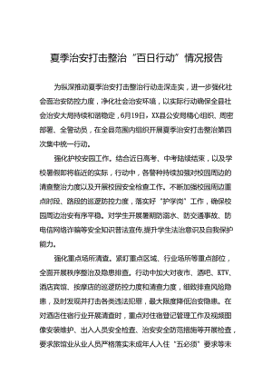 二十三篇公安夏季治安打击整治行动取得显著成效的情况报告.docx