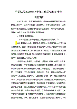 县司法局2024年上半年工作总结和下半年工作打算.docx