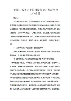党课：抓实支委作用发挥 提升基层党建工作质量.docx