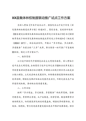 XX县集体林权制度联动推广试点工作方案.docx