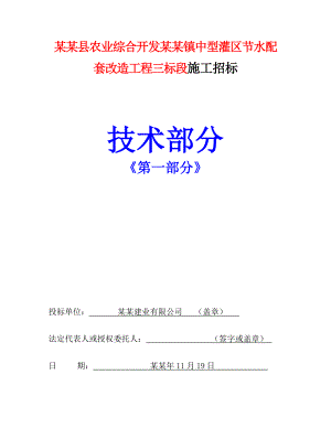 永仁县农业综合开发永定镇中型灌区节水配套改造工程三标段施工招标施工组织设计.doc