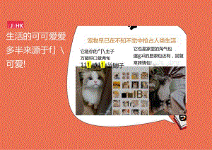 小红书：2024年养宠百科全书通案.docx