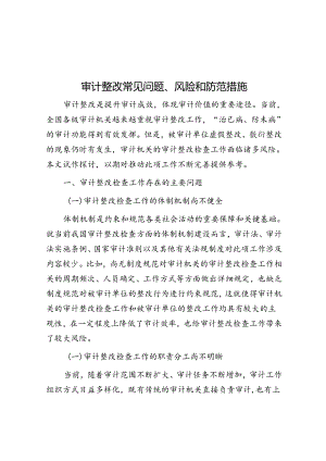 审计整改常见问题、风险和防范措施.docx