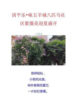 清平乐-咏五羊城八匹马社区紫薇花迎夏盛开.docx