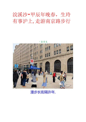 浣溪沙-甲辰年晚春生玲有事沪上走游南京路步行街.docx