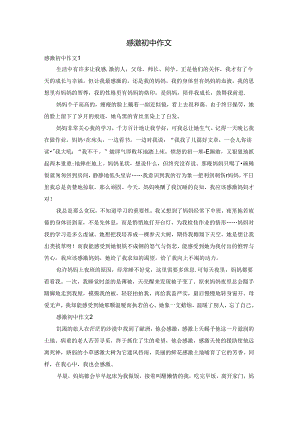 感激初中作文.docx