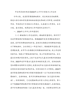 市自然资源和规划局2024年上半年乡村振兴工作总结.docx