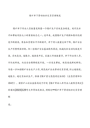 煤矿井下劳动组织定员管理制度.docx