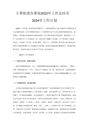 王莽街道办事处2023年工作总结及2024年工作计划.docx