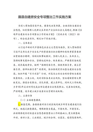 眉县自建房安全_专项整治工作实施方案.docx
