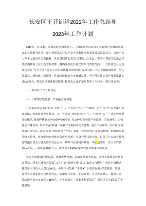 长安区王莽街道2022年工作总结和2023年工作计划.docx