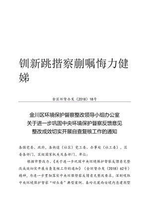金川区环境保护督察整改领导小组办公室关于进一步巩固中央环境保护督察反馈意见整改成效切实开展自查复核工作的通知2018-12-14（定）.docx