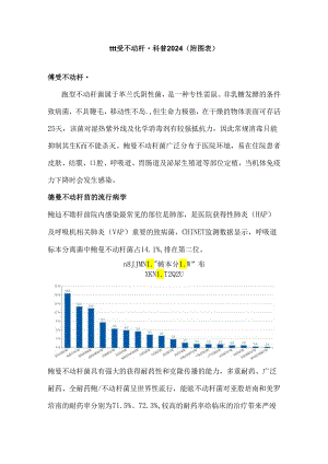 鲍曼不动杆菌科普2024（附图表）.docx