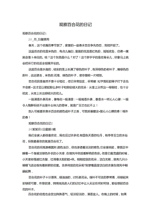 观察百合花的日记.docx