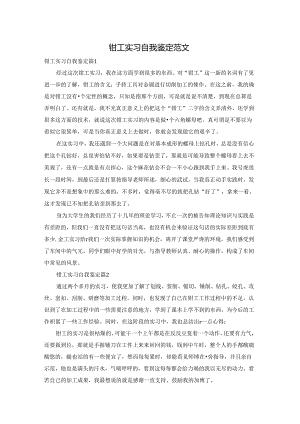 钳工实习自我鉴定范文.docx