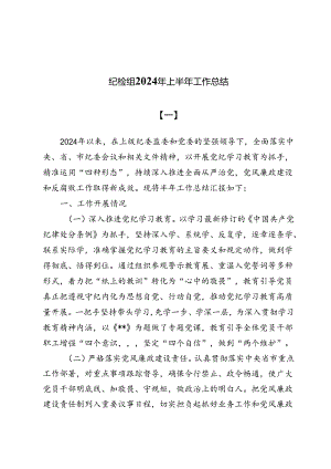 （八篇）纪检组2024年上半年工作总结.docx