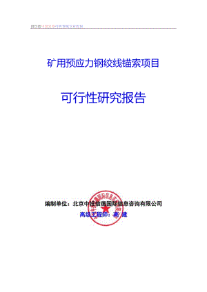 矿用预应力钢绞线锚索项目可行性研究报告编制格式说明(模板型文档).docx