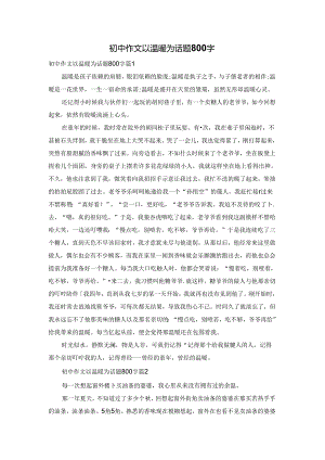 初中作文以温暖为话题800字.docx