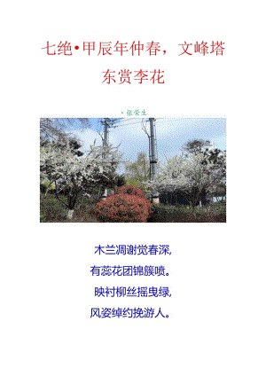 七绝-甲辰年仲春文峰塔东赏李花.docx