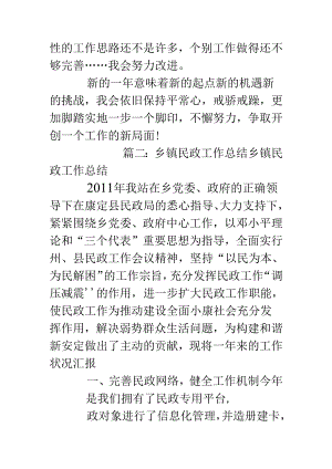 乡镇民政工作个人总结.docx