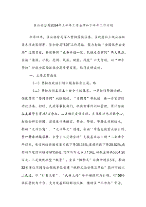 区公安分局2024年上半年工作总结和下半年工作计划.docx