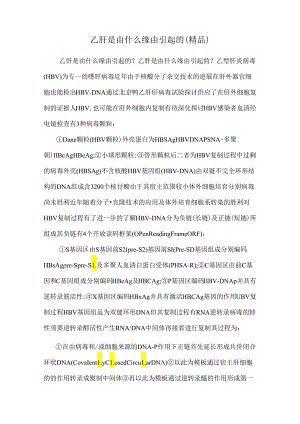 乙肝是由什么原因引起的（精品）.docx