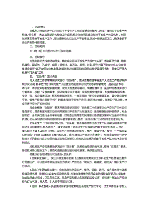 乡镇百日安全生产大检查实施方案.docx