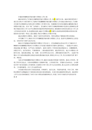 乡镇政府慵懒散浮拖问题专项整治工作汇报.docx