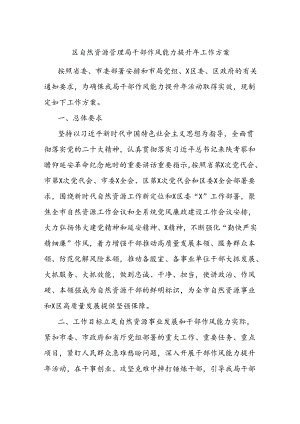 区自然资源管理局干部作风能力提升年工作方案.docx