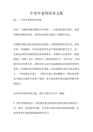 中青年教师培养计划.docx
