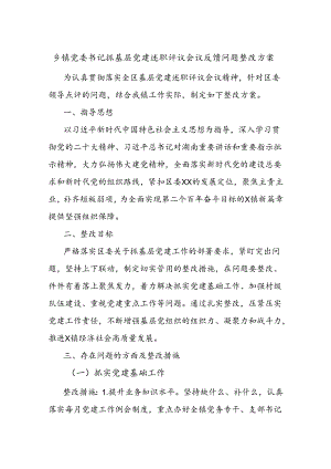 乡镇党委书记抓基层党建述职评议会议反馈问题整改方案.docx
