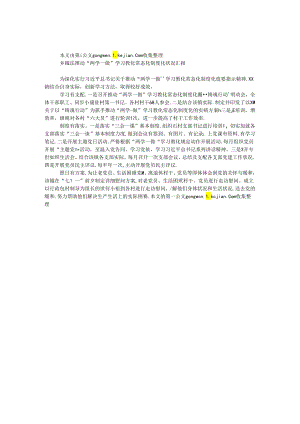 乡镇法推进“两学一做”学习教育常态化制度化情况汇报.docx