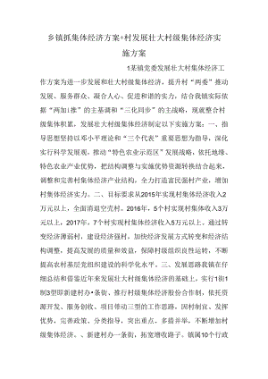 乡镇抓集体经济方案 村发展壮大村级集体经济实施方案.docx