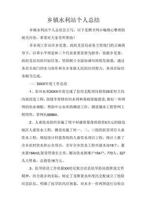 乡镇水利站个人总结.docx