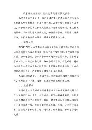 严重违纪违法案以案促改贯彻落实情况报告.docx