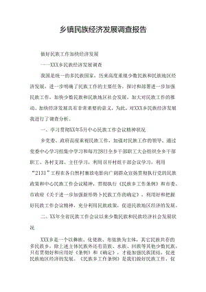 乡镇民族经济发展调查报告.docx
