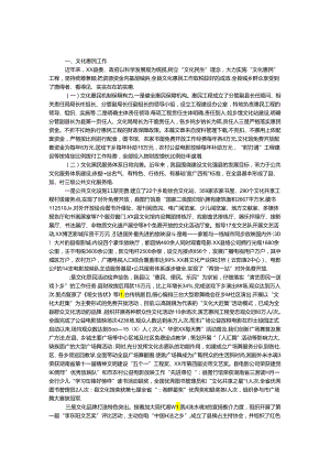 乡镇文化工作汇报材料.docx