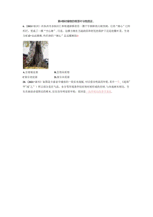 初中科学浙教版教学：_植物的根茎叶与物质运输.docx